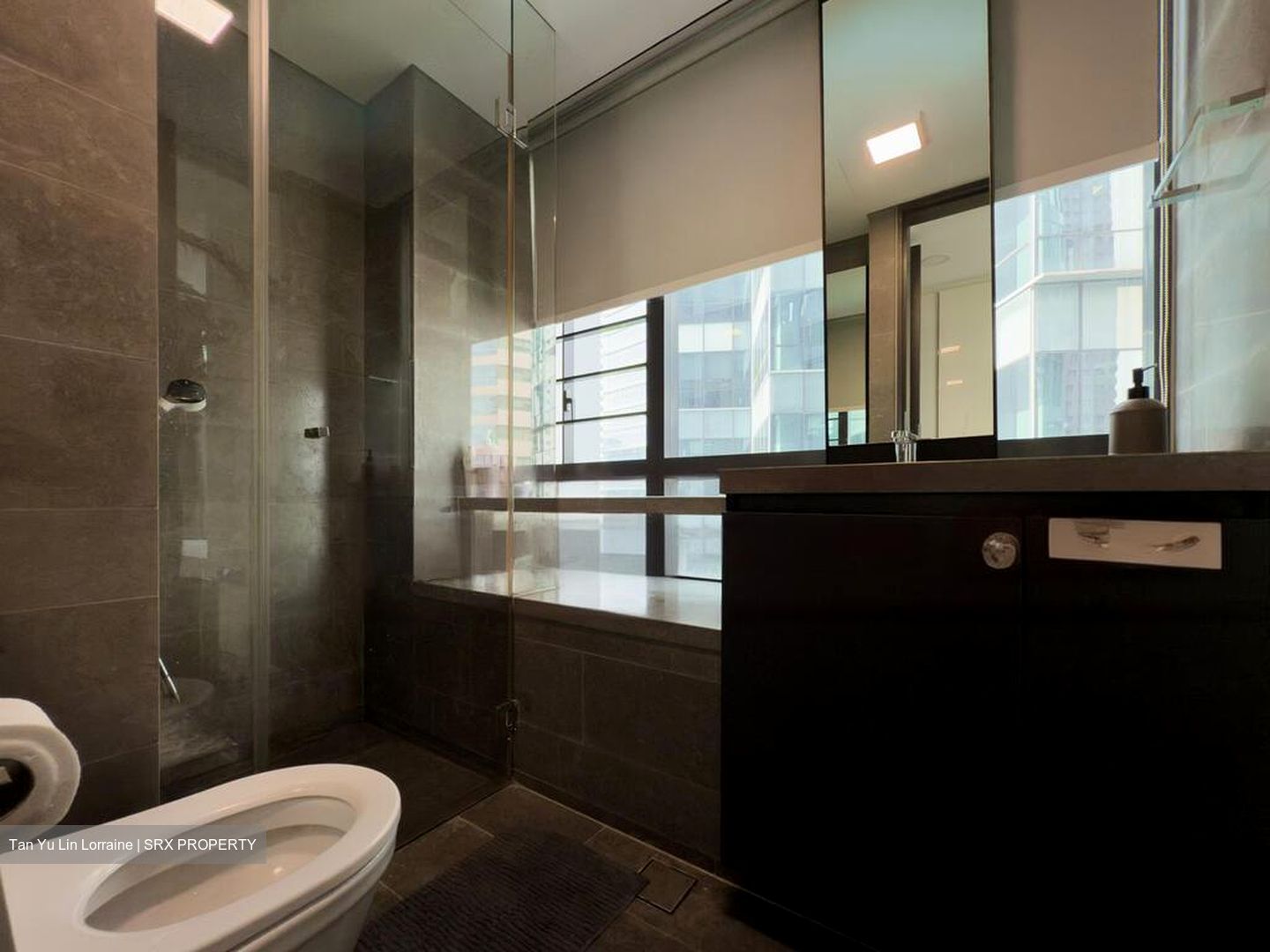 Skysuites@Anson (D2), Apartment #482859421